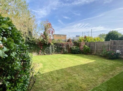 Overgrown garden before and after professional clearance in Lea Valley. Gardeners removing weeds and unwanted vegetation.