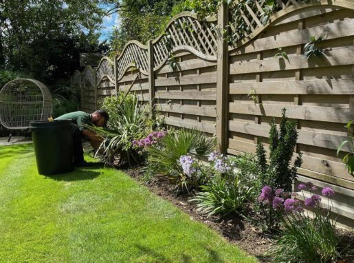Freshly planted flower beds with vibrant seasonal plants in Lea Valley, professionally arranged for a lush garden.